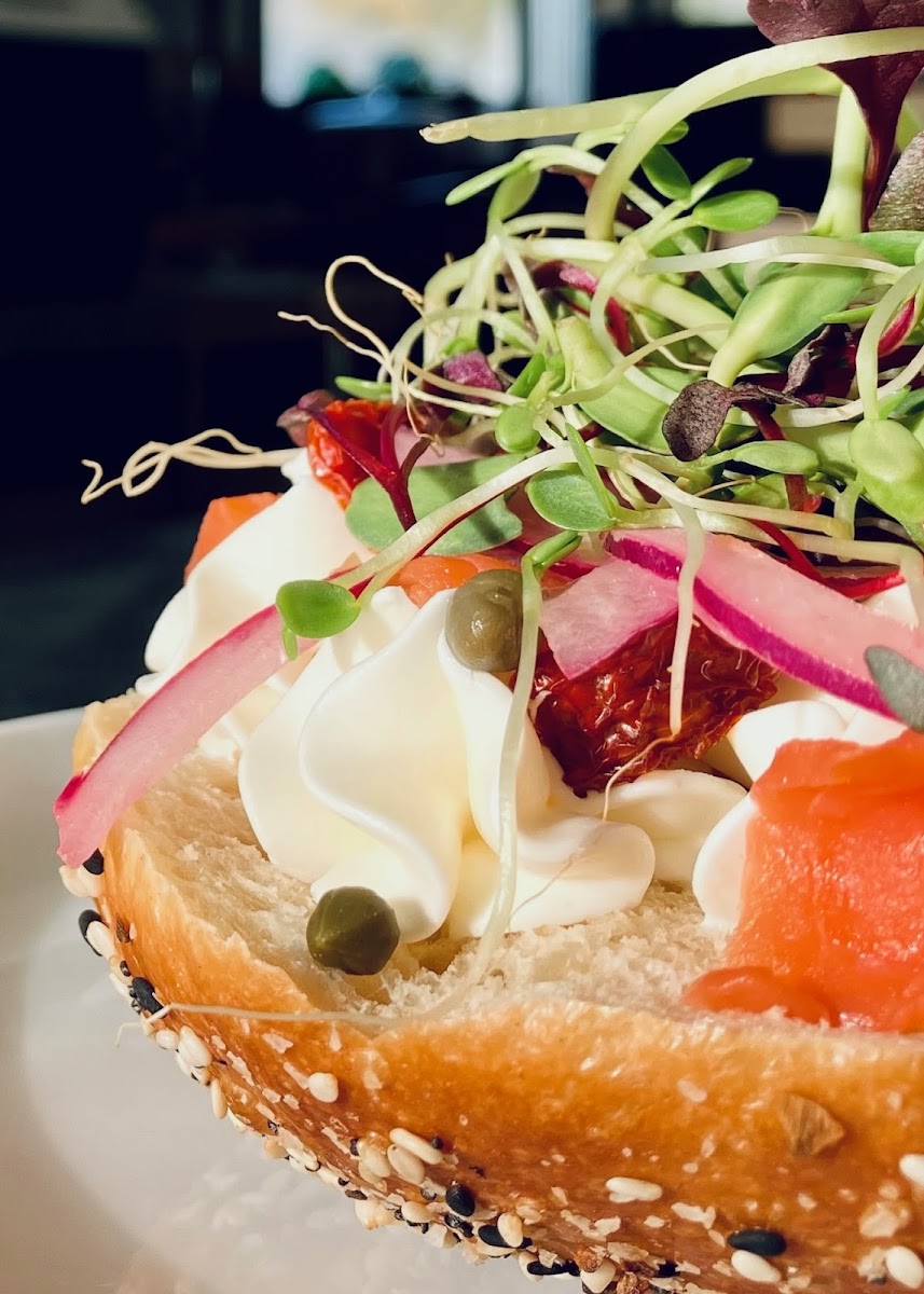 Birch & Alder Photos 2